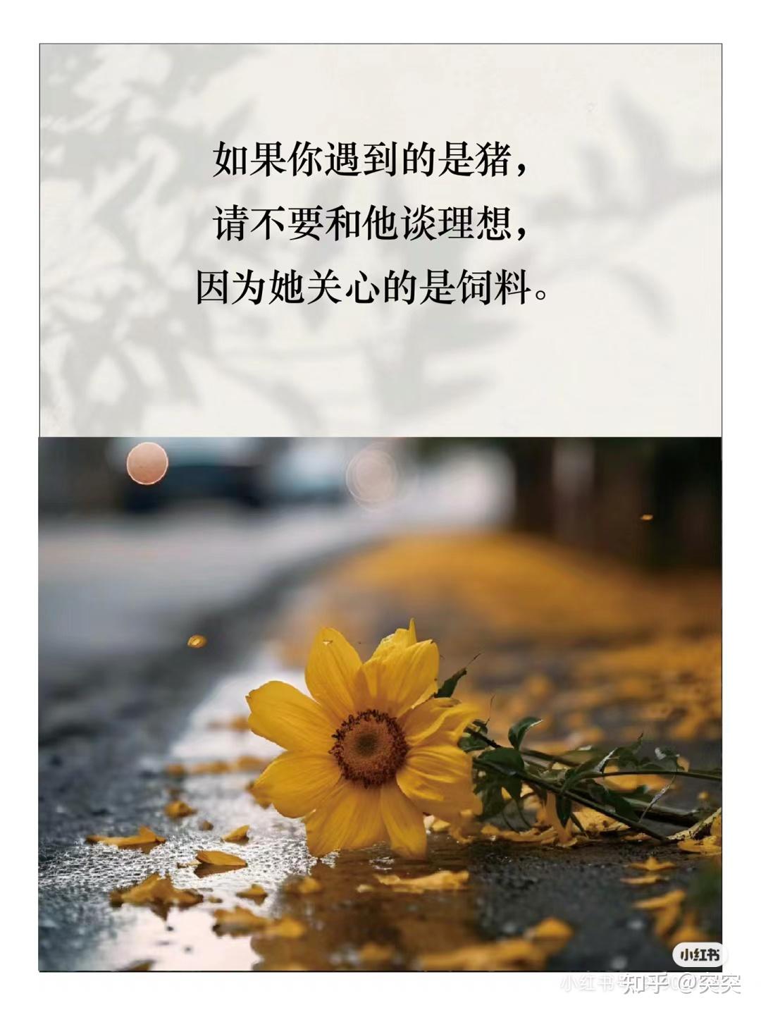 有哪些让人瞬间清醒的句子