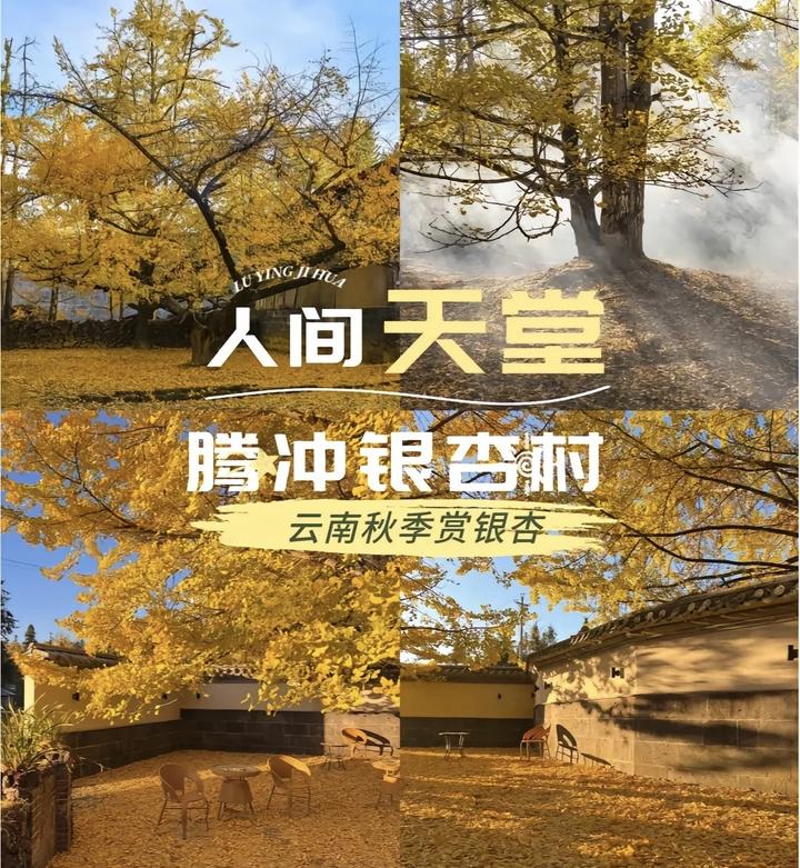 腾冲游玩避坑攻略,必看! - 知乎