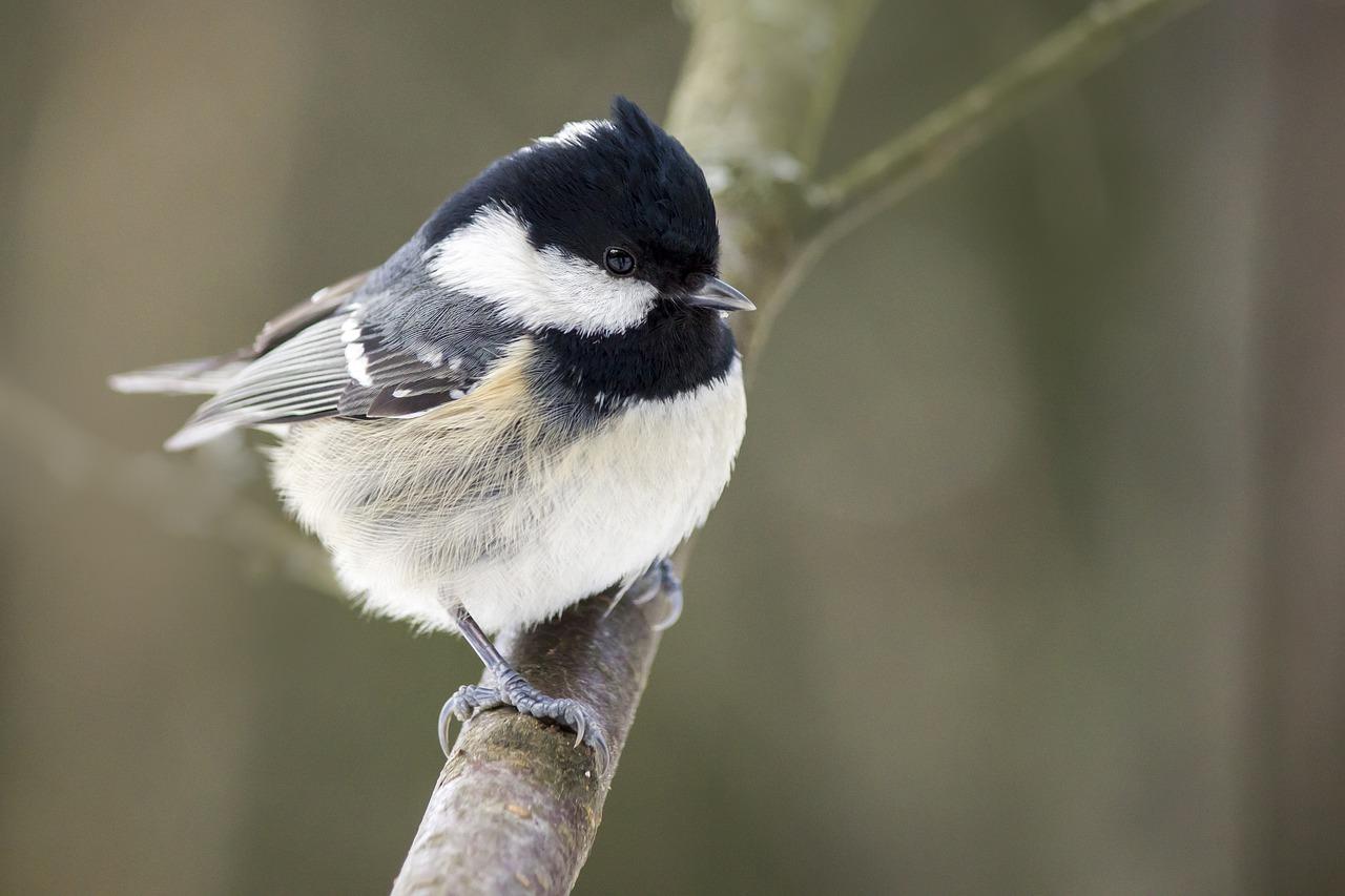 4. 暖气房最佳温度