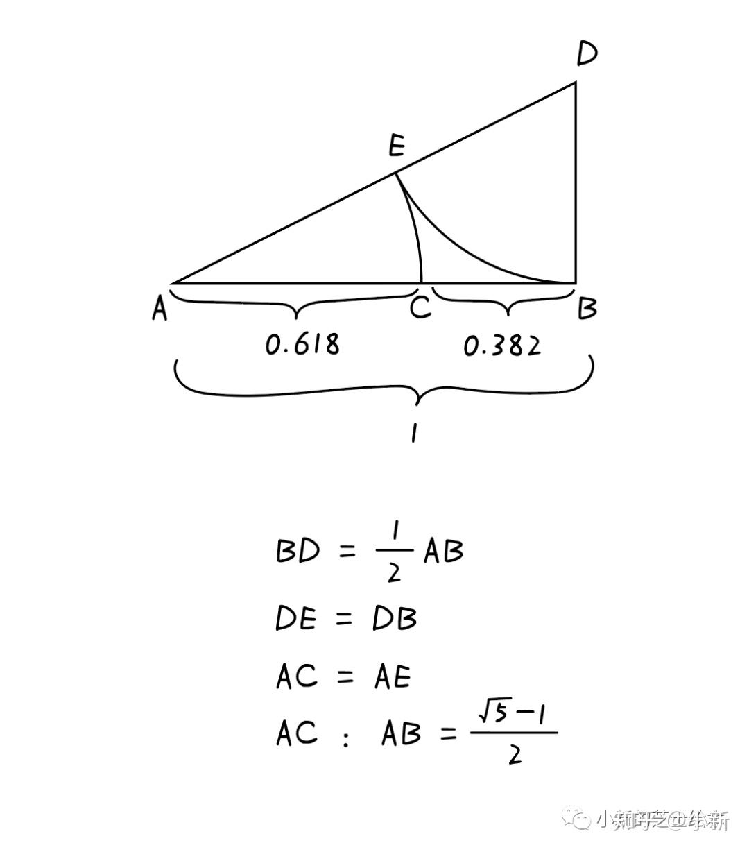 为什么“黄金分割”被认为是世界上最美的比例？ - 知乎