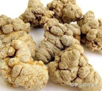 关于中药田七你应该的功效与作用！ - 知乎