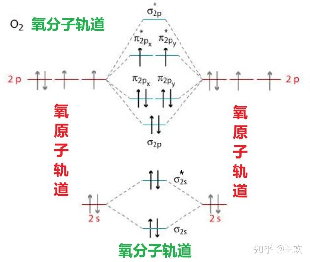 氧气的分子轨道结构图,有没有大佬能看懂啊 知乎