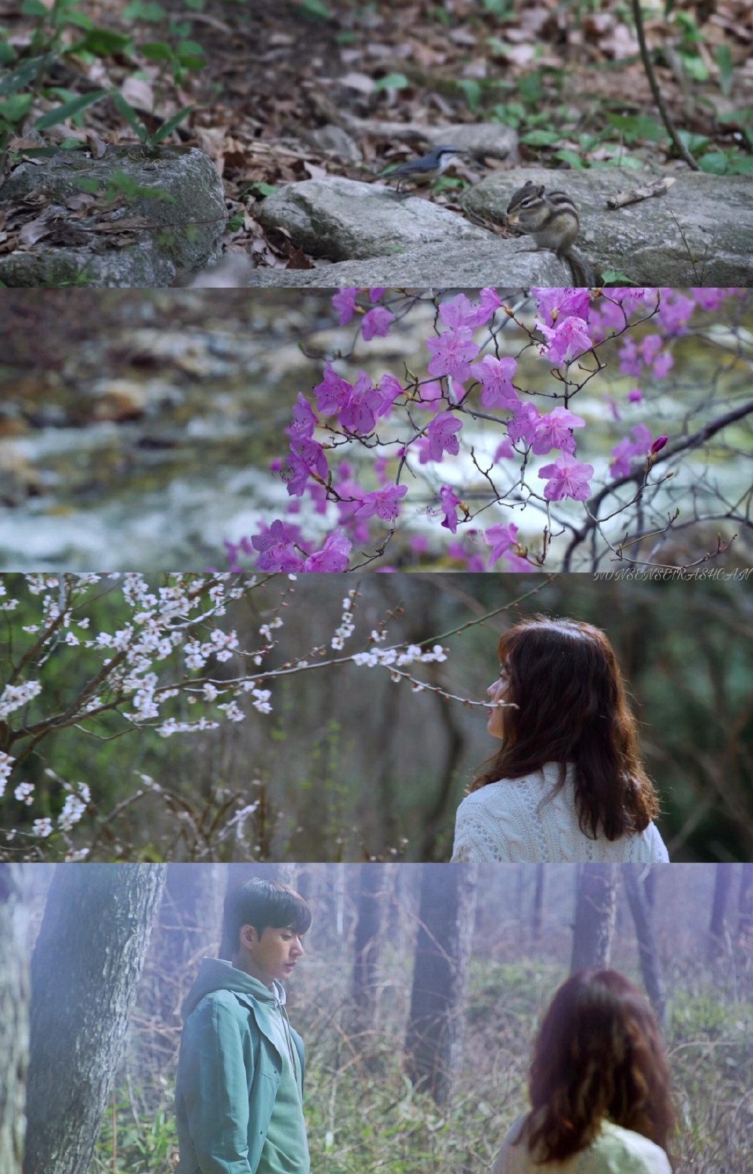 如何评价韩剧《forest》? - 知乎