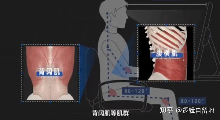 人体力学椅子推荐：性价比爆棚榜，热门人体力学椅型号推荐 - 知乎