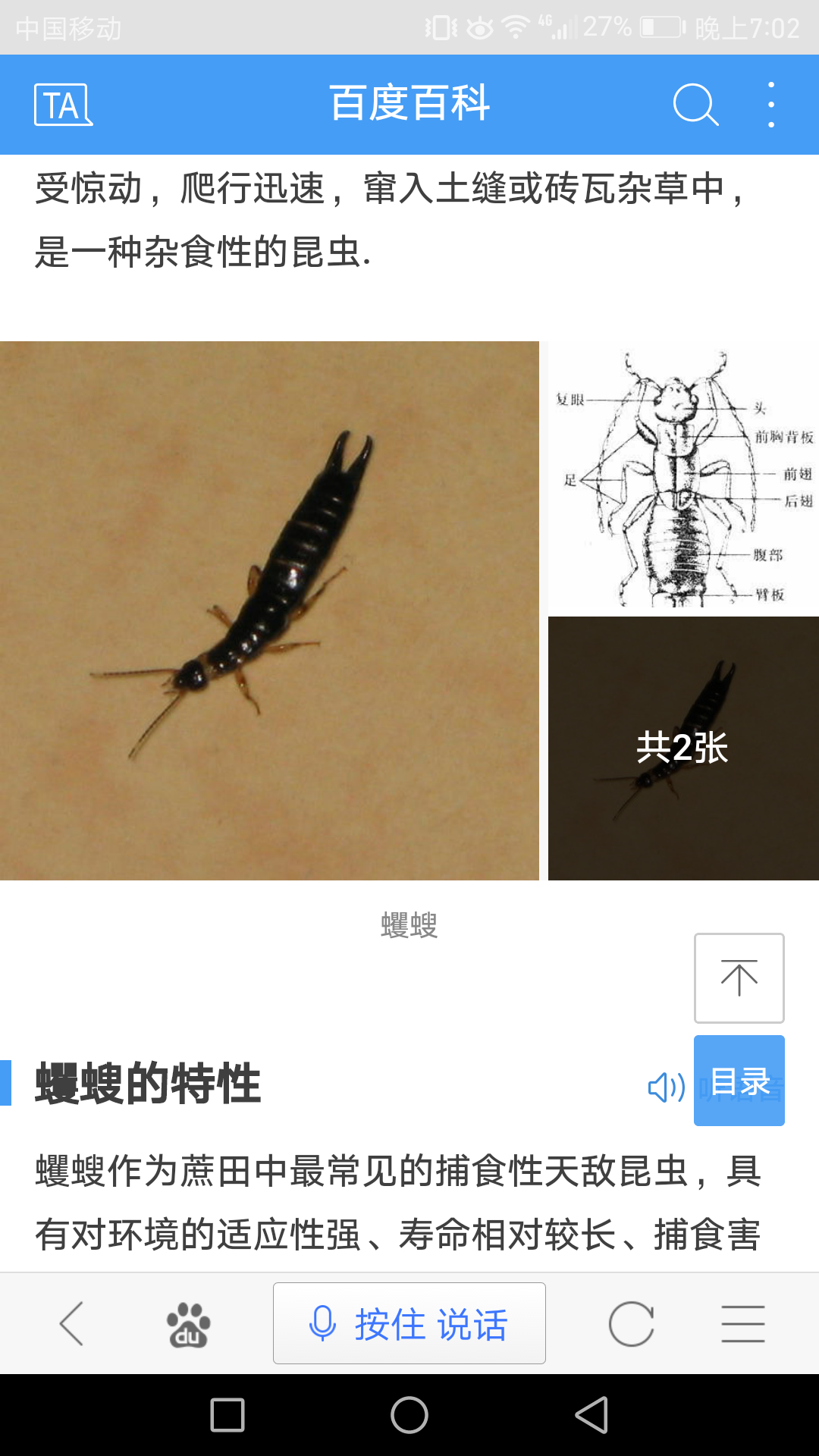 我家卫生家发现一种黑虫子,尾巴上是钳子型的,请问谁知道是什么名字