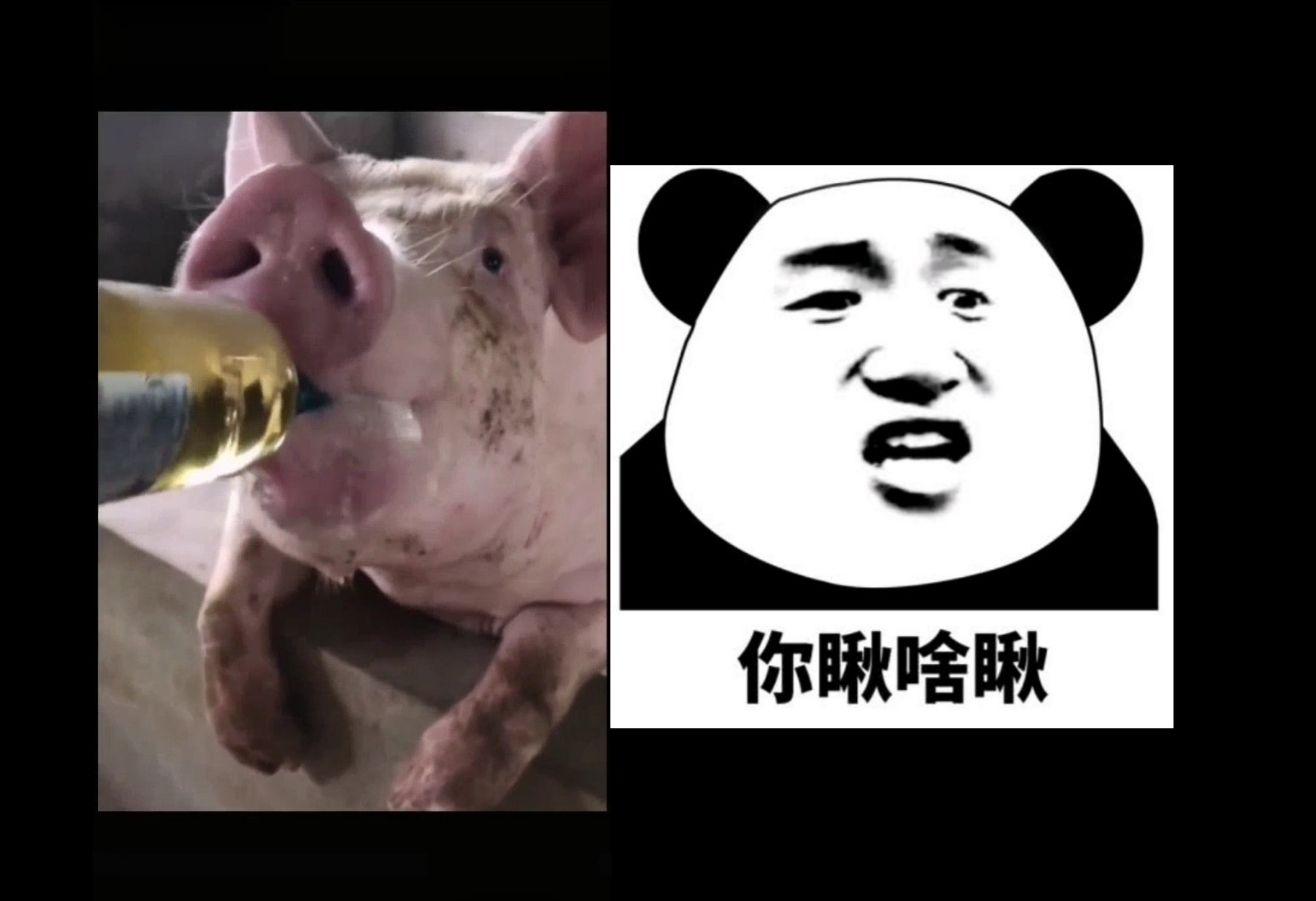 就你们会啤酒小旋风吗人家富贵也会笑死了