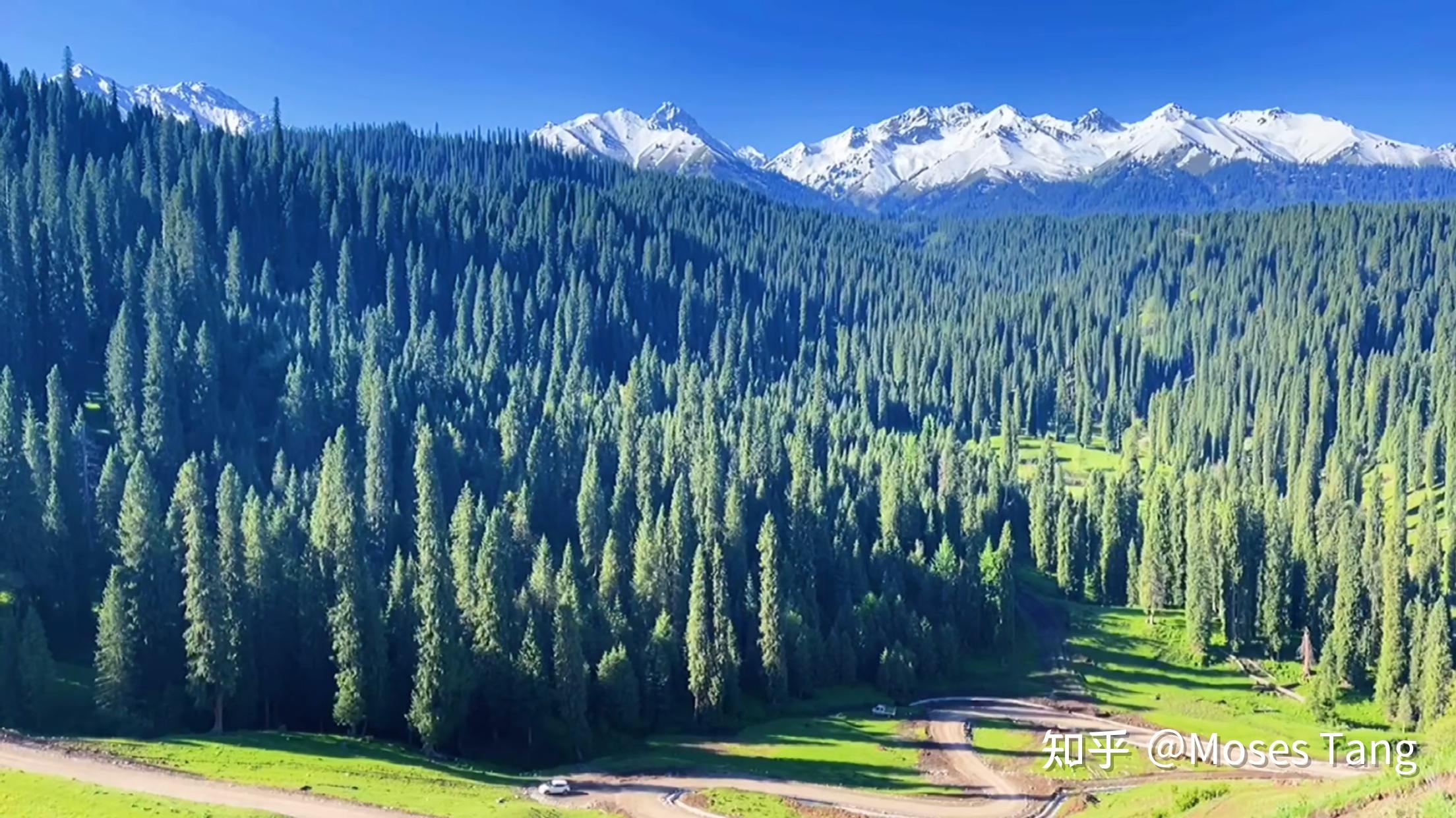 中天山游记五挚爱那拉提