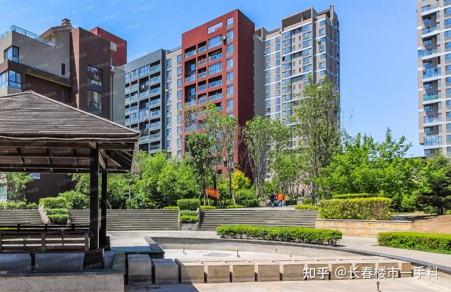 1扎根长春 墙内开花墙外香