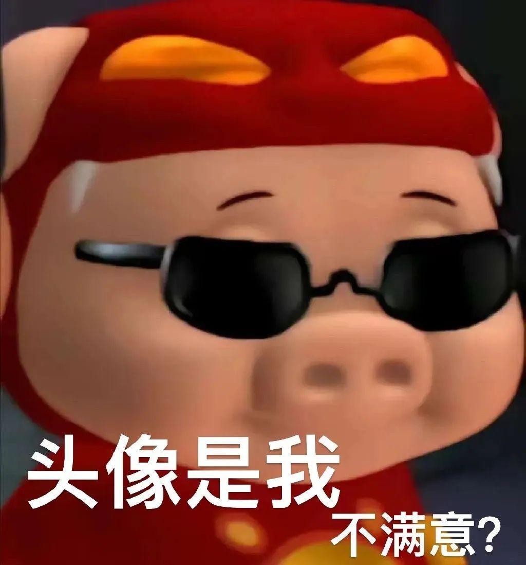 平凡的猪猪侠不平凡的ggbond