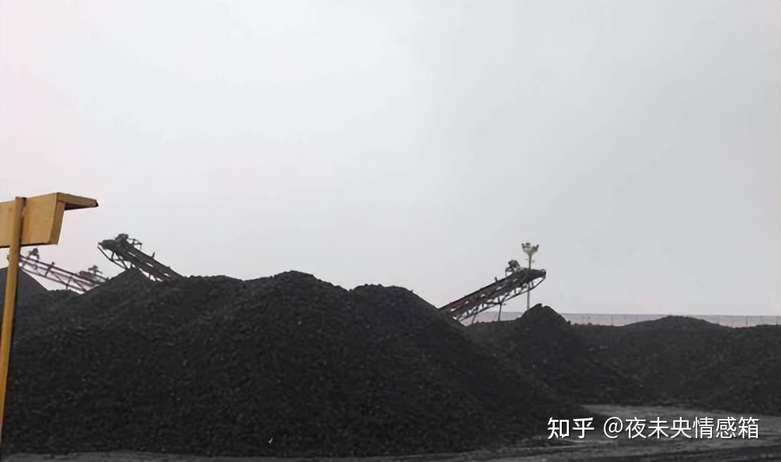 “最美死刑犯”任雪：死前主动张嘴，众人不解，行刑人员却懂了 - 知乎