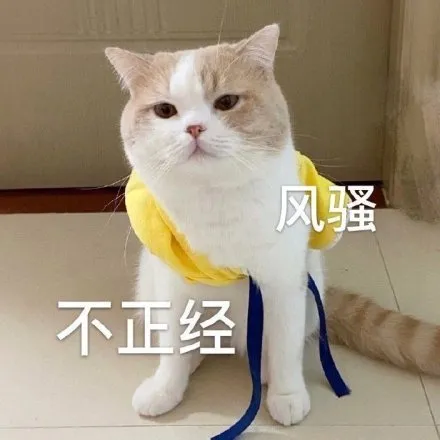 哥沙雕文案,大哥沙雕文案