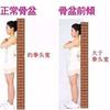 盆骨前倾与后倾到底是什么样子 知乎 盆骨前倾与后倾到底是什么样子 知乎
