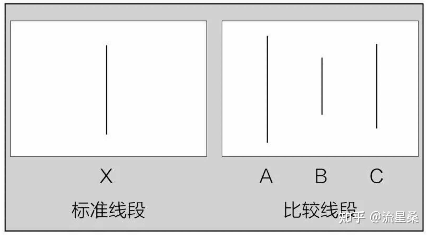 围绕从众心理的实验