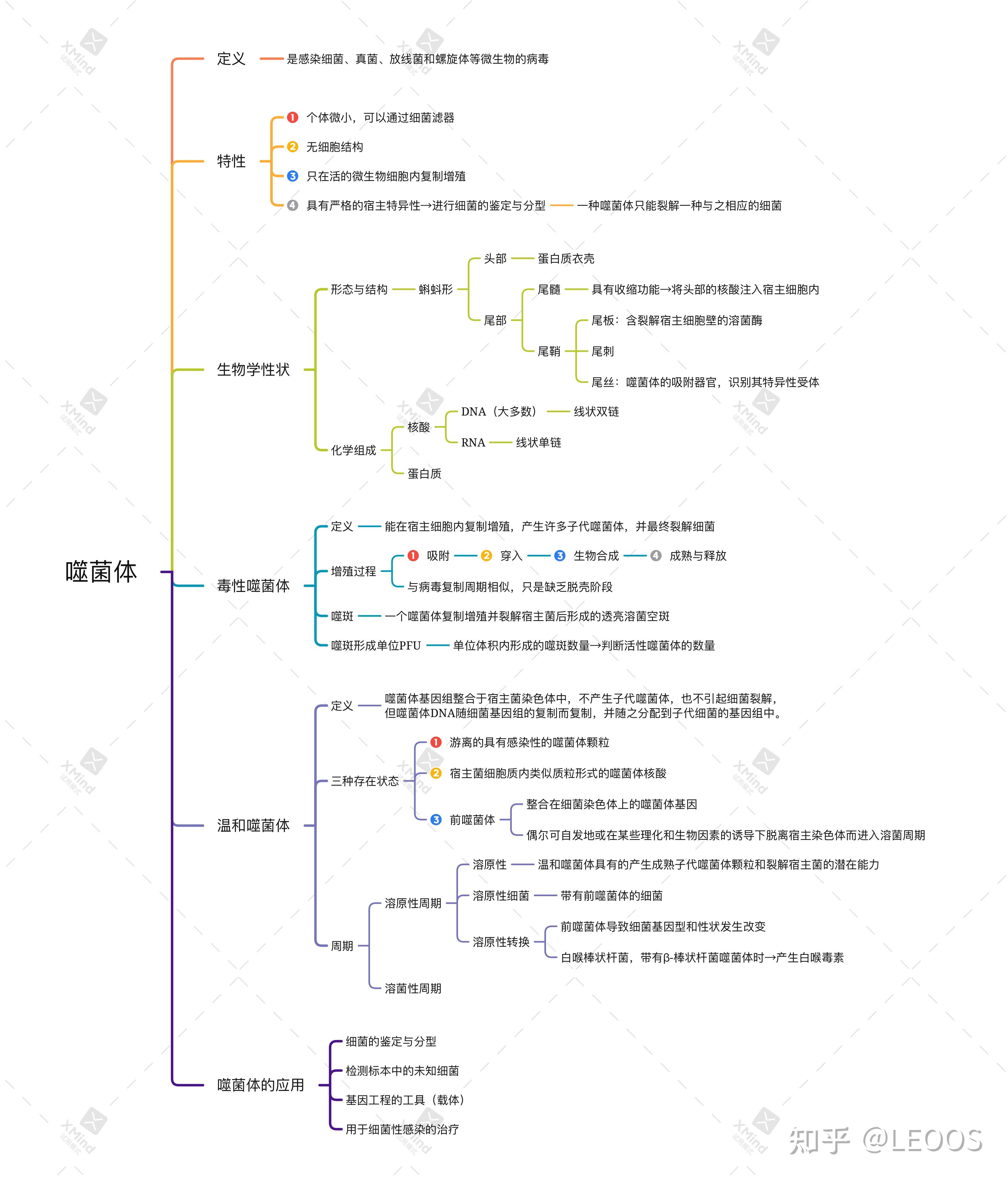 微生物类群思维导图图片