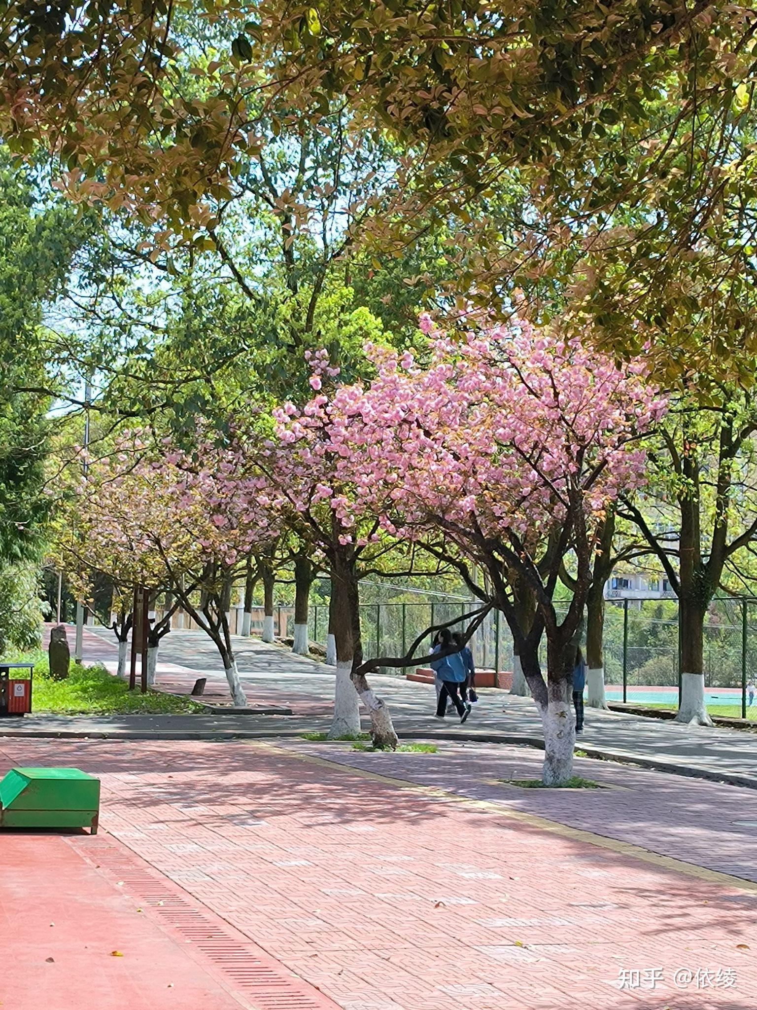 在黔南民族职业技术学院就读是什么体验? - 知乎