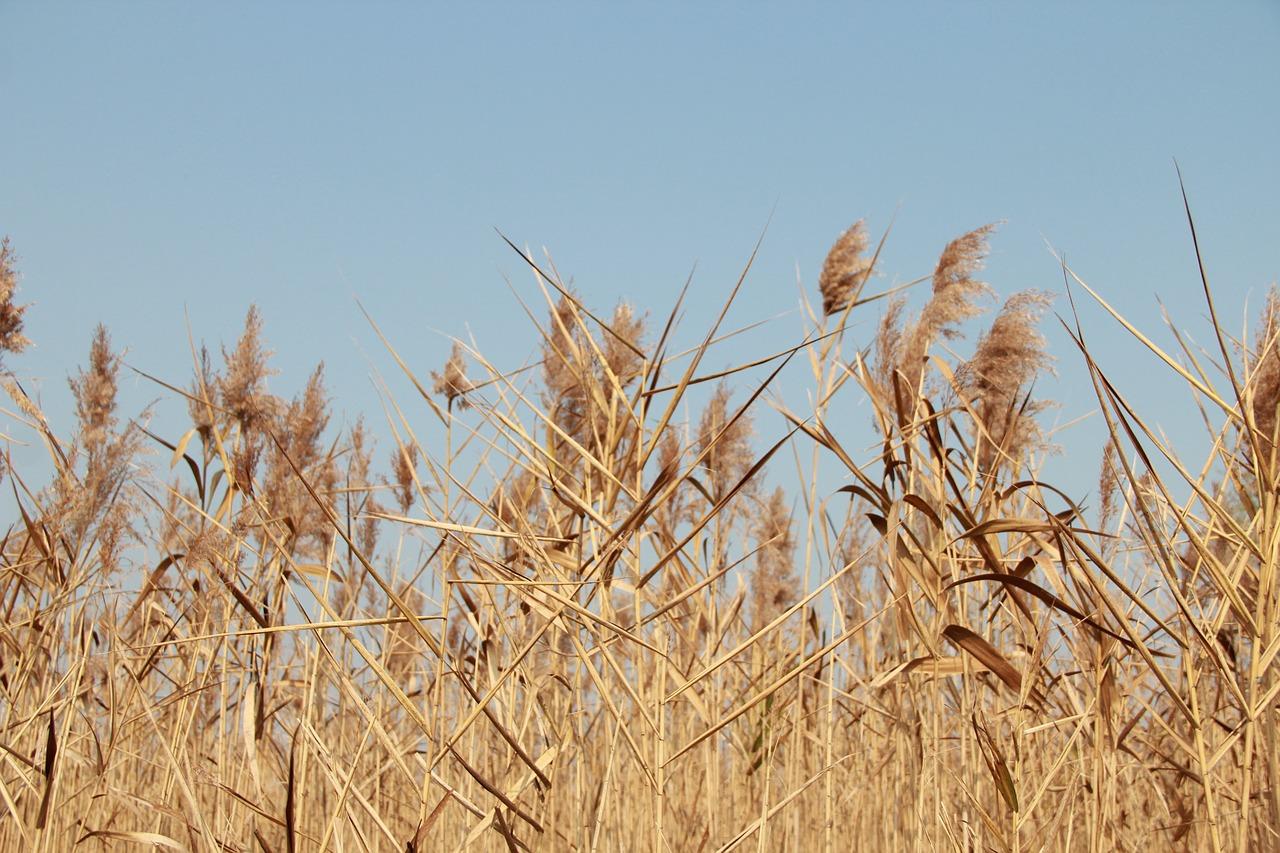 文明之美，见微知著
