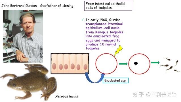 有哪些神奇的动物? 13 v2 f33faf66f4f699d59a78efc16d9ebe5c 720w