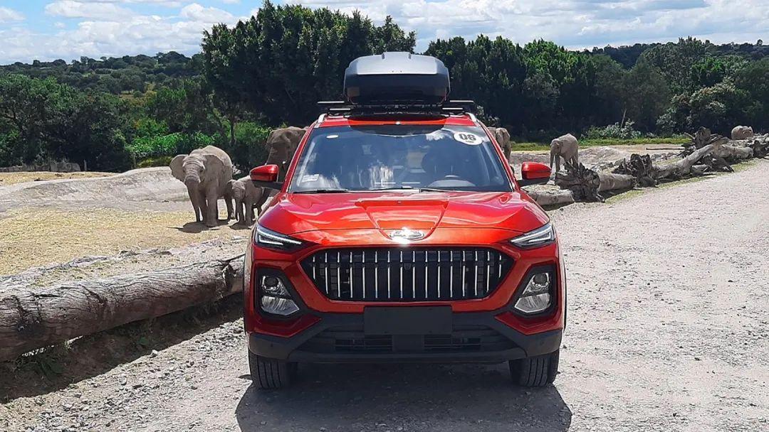 js8征战拉美市场虎年虎虎生威