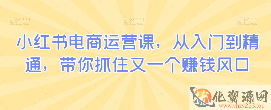 小红书电商运营课，从入门到精通，带你抓住又一个赚钱风口