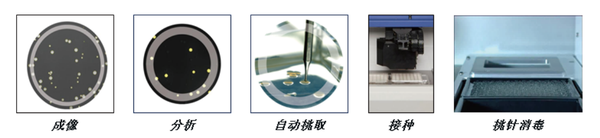 高效微生物筛选技术——引领工业育种和生物能源新时代- 知乎