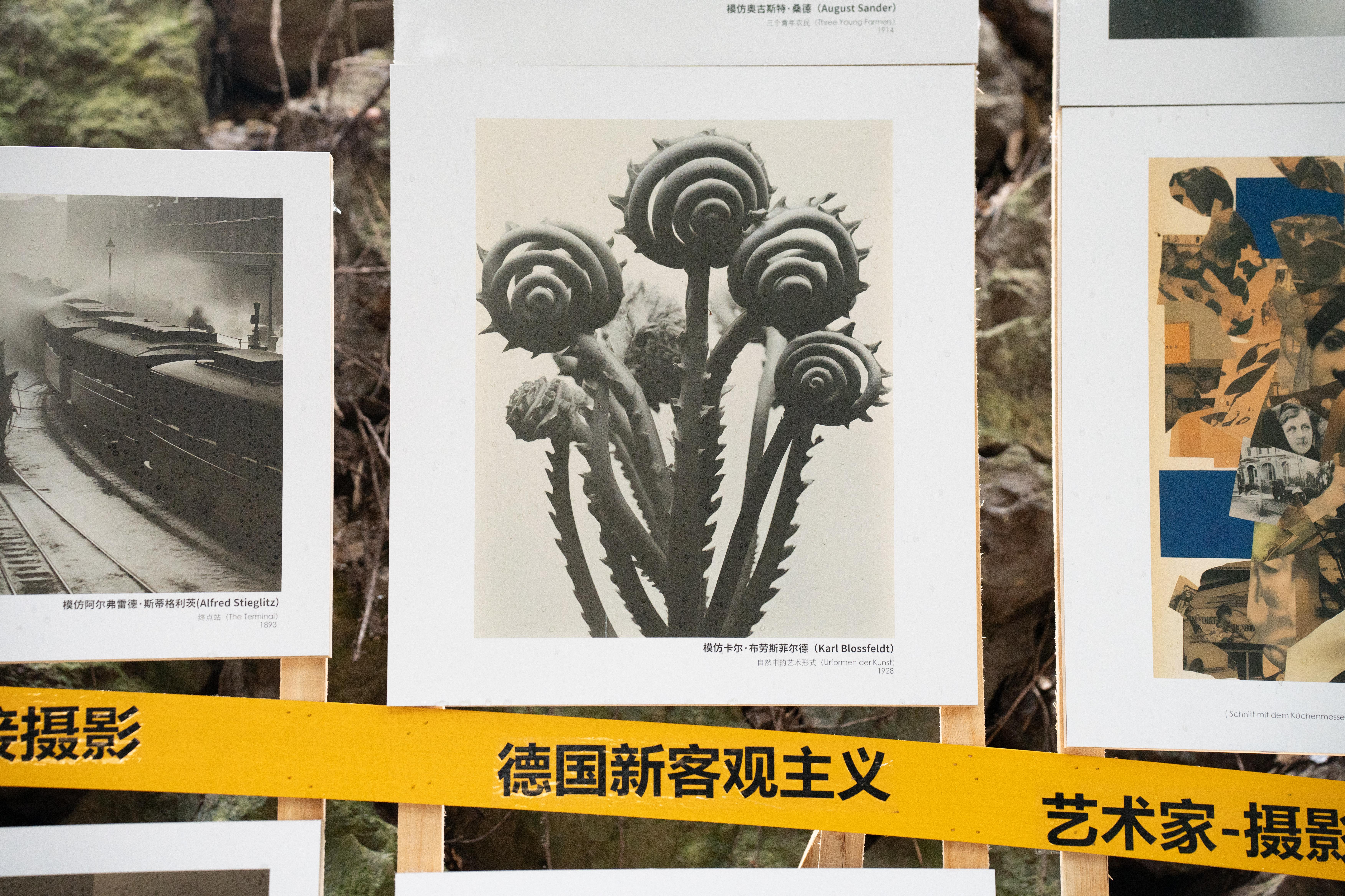 【见微知著】2023丽水摄影节——放射性:13人摄影展(21号馆)——不完全解析 - 知乎