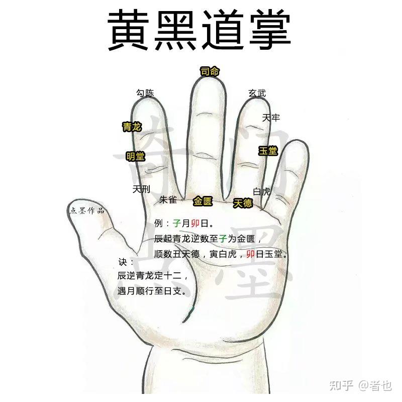 速推掌式----黄黑道掌 - 知乎