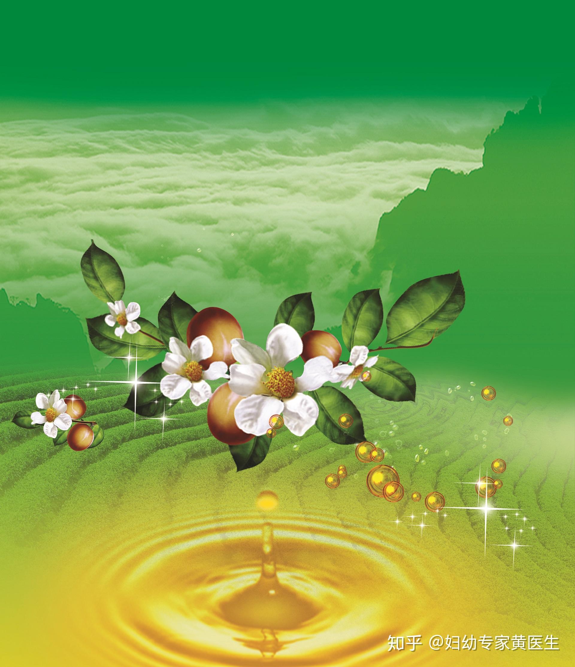 因此,在油茶生产过程中原路油茶籽的干燥方式,霉变程度,以及受苯并(a)