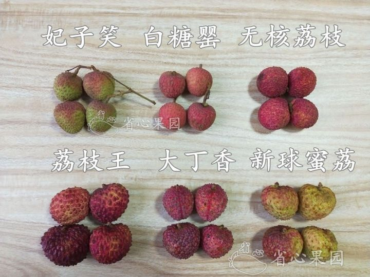 有哪些特别好吃的荔枝种类? - 知乎
