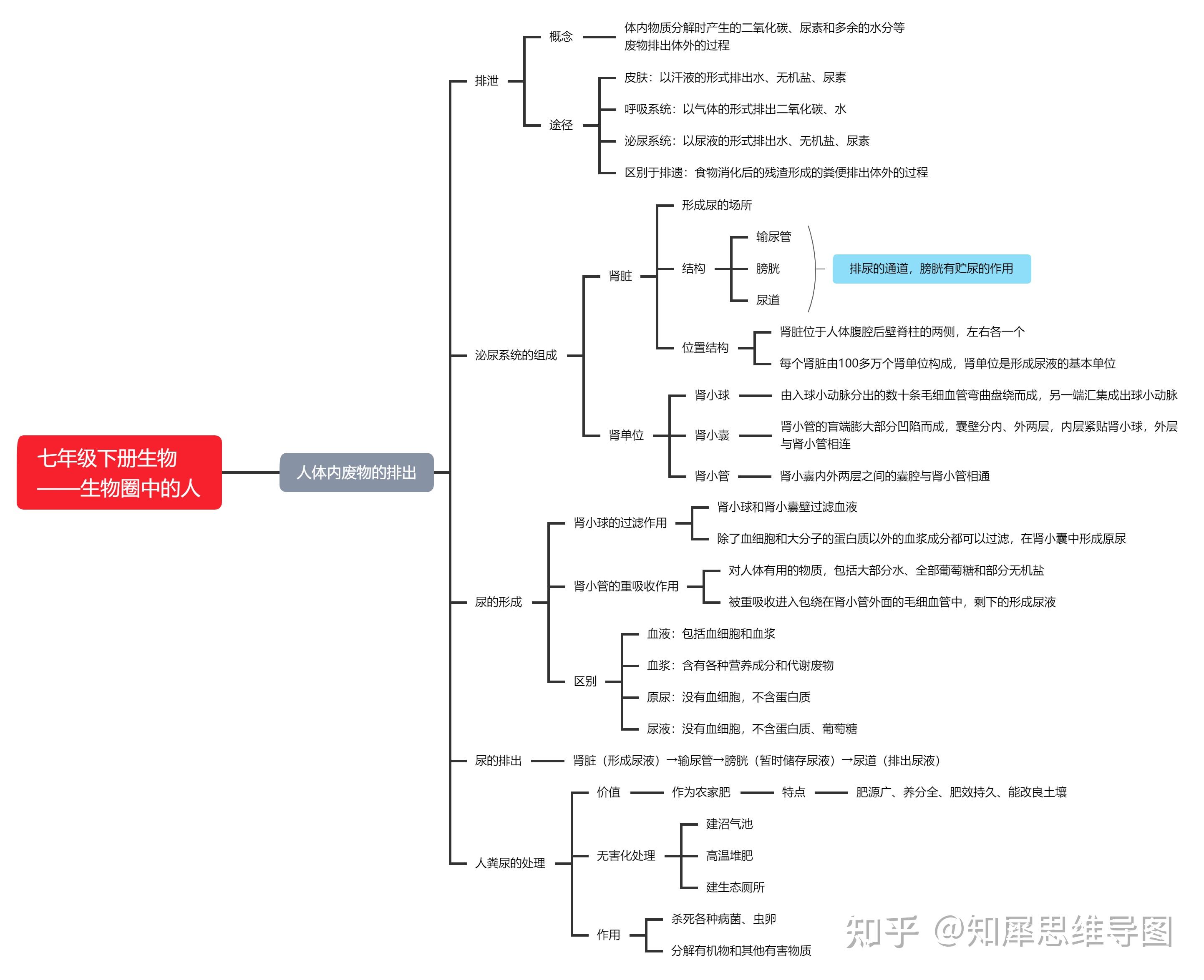 初中全套生物思維導圖21張高清思維導圖