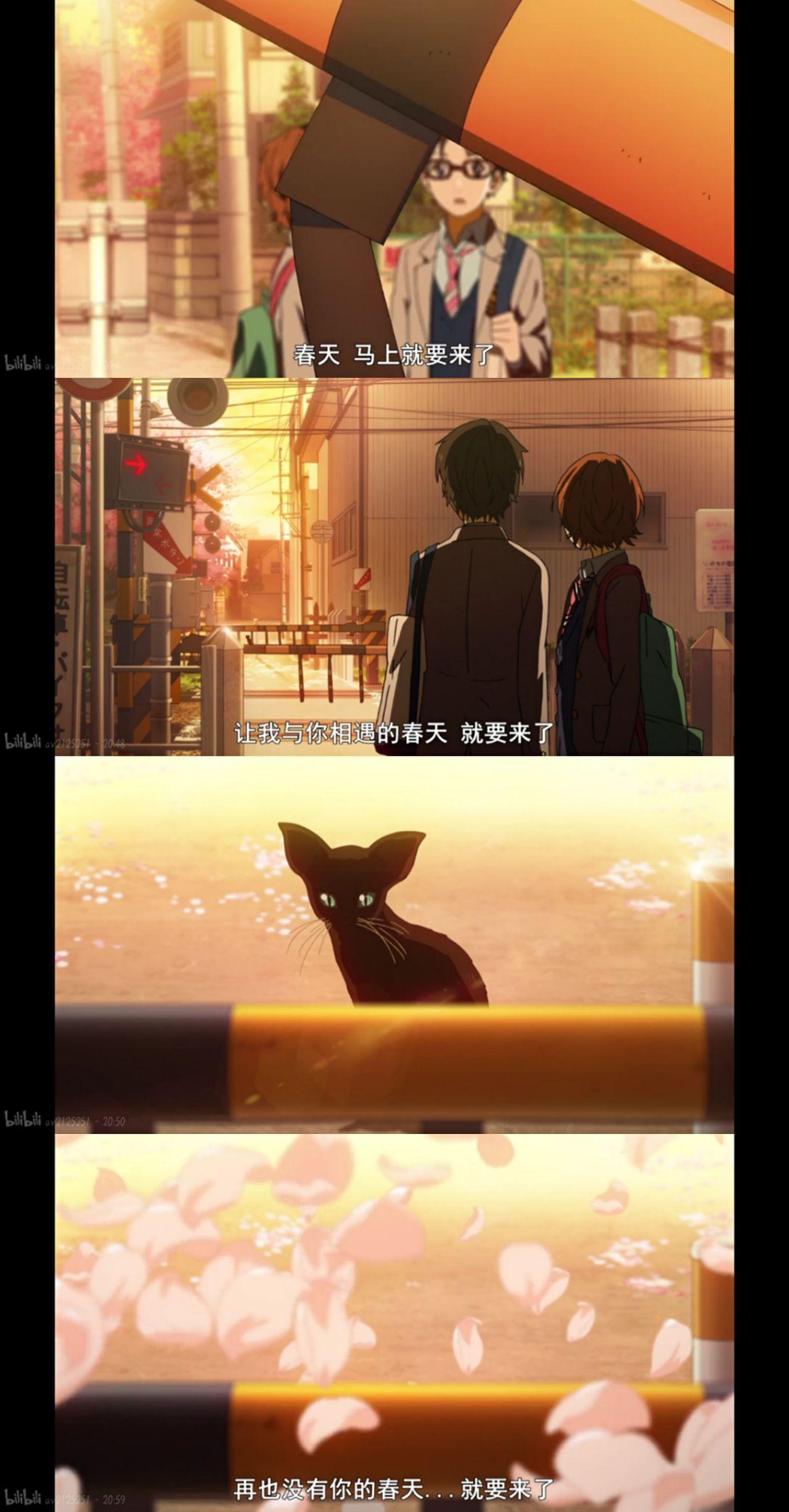 动漫四月是你的谎言里有多少像满分作文一样的抒情句子