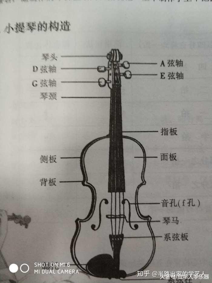 小提琴结构名称图片