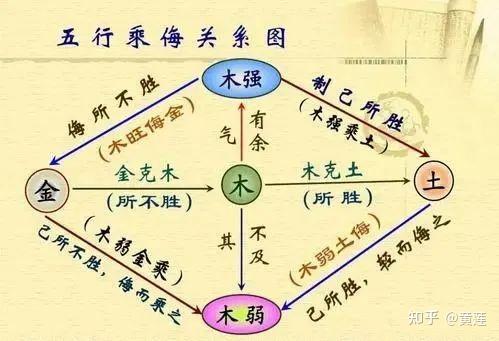 中医基础丨五行与五脏 - 知乎