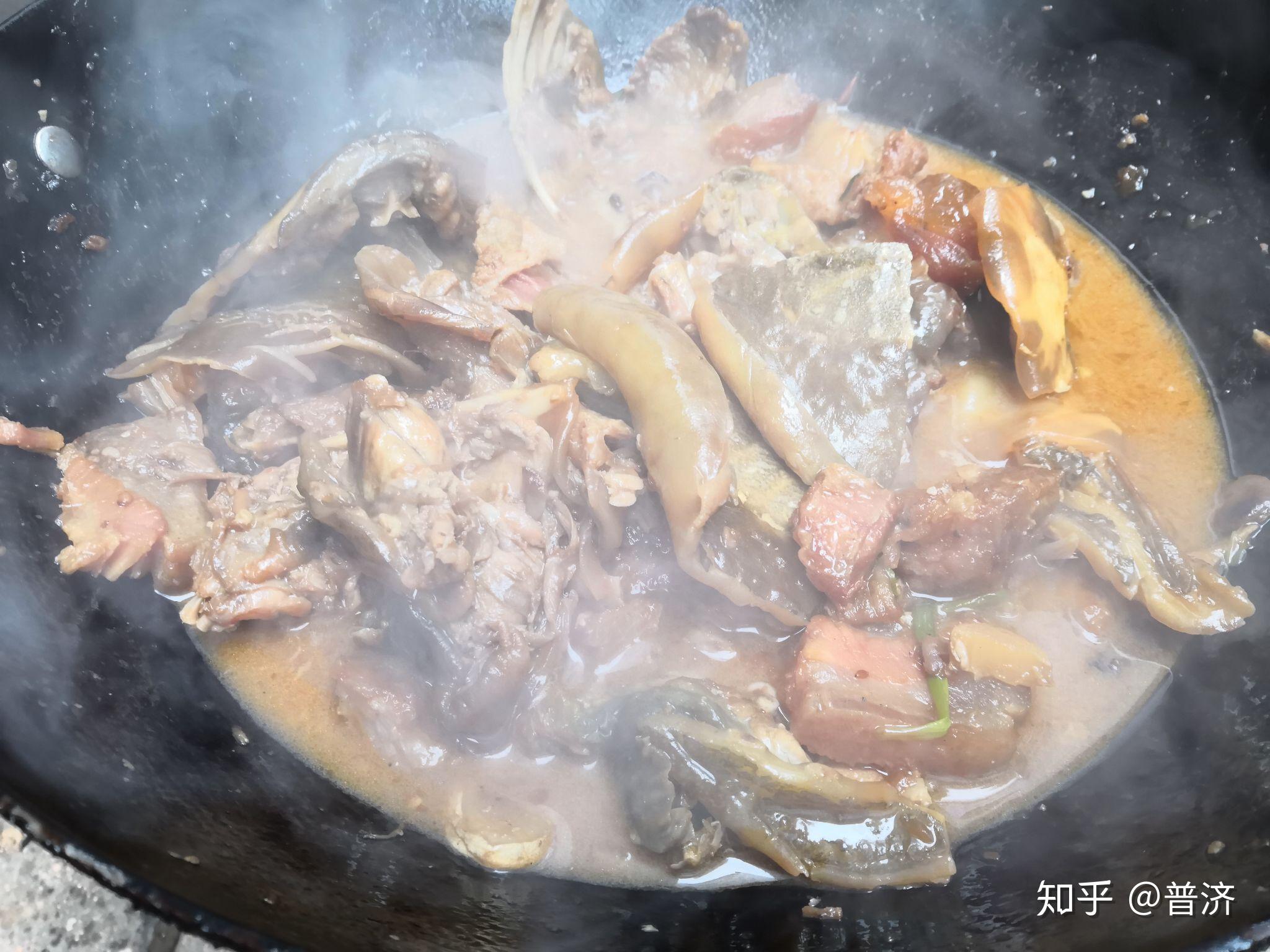 甲鱼的挑选是个技术活.