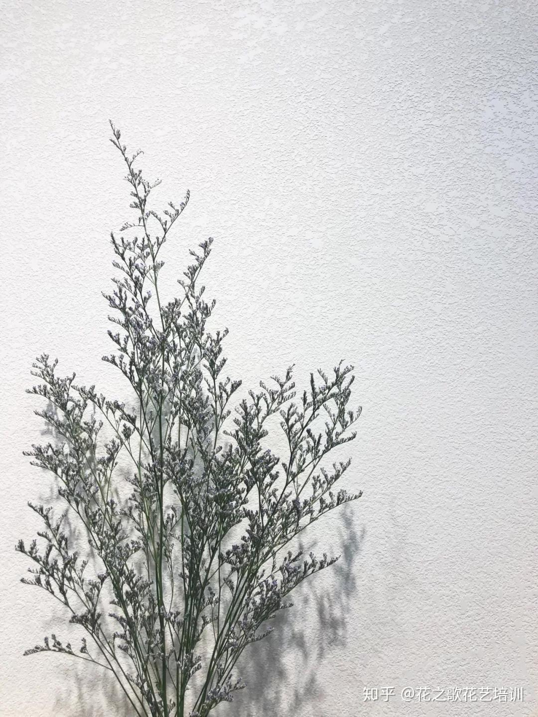 v2-f3e368fa42410aef7b53edb6465feffc_r.jpg