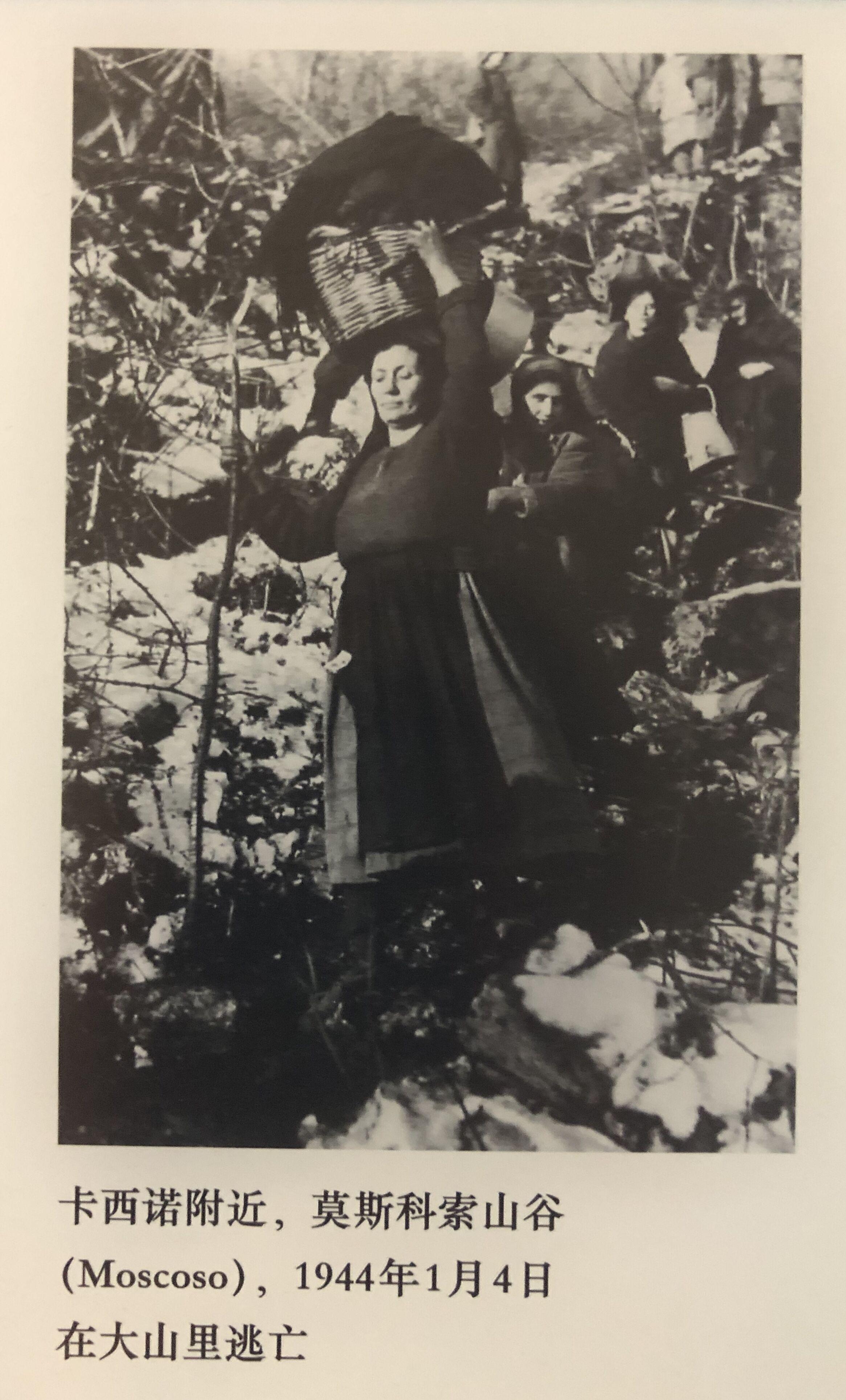 失焦战地摄影师罗伯特卡帕二战回忆录摘录如果你拍得不够好那是因为你