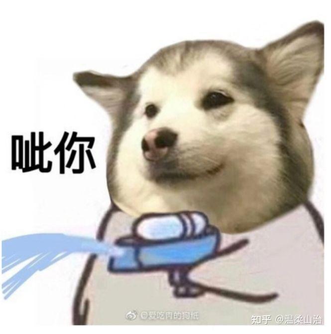 帅文案沙雕,帅哥沙雕文案