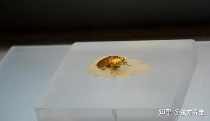 金蝉玉叶：明代出土玉器中唯一精细之作- 知乎