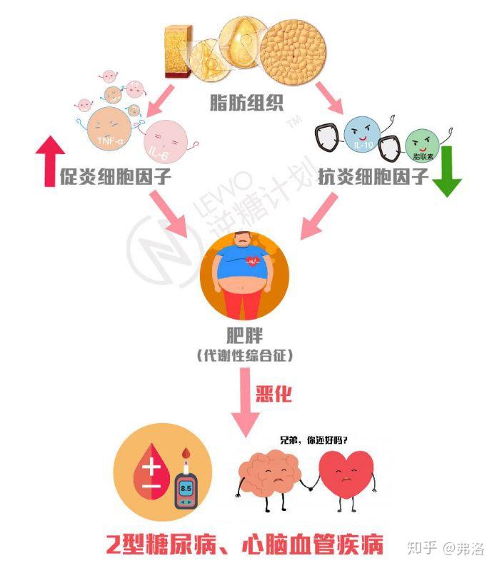 体重一直减不下去?可能是因为你还没把"它"解决掉! - 知乎