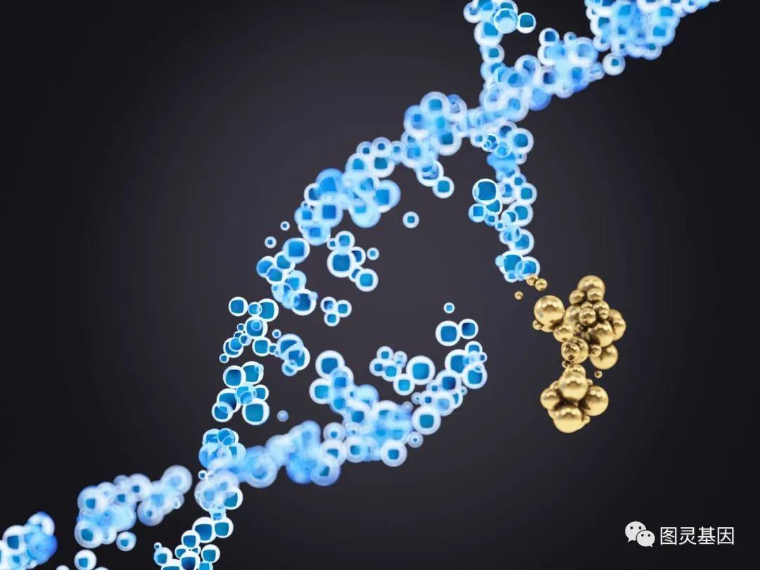 Mol Sys Bio | 发现DNA损伤修复至关重要的代谢酶和过程 - 知乎