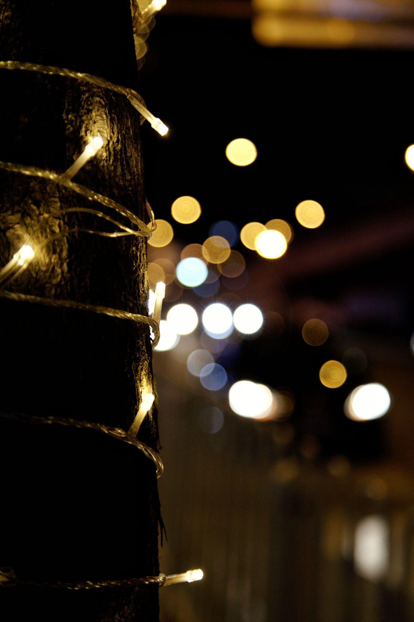 这种图片中的小光斑的形成原理是什么如何用单反相机拍摄出来