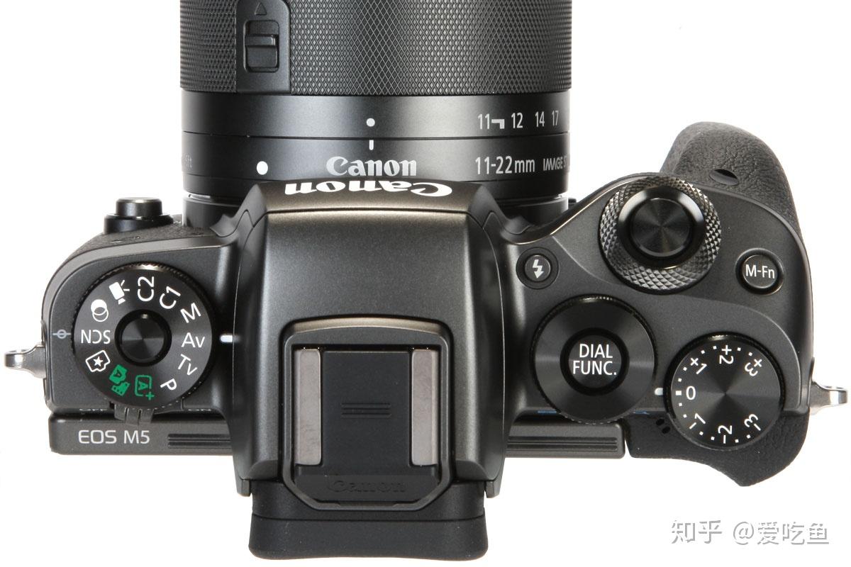 新手入门哈请问在佳能m6二代和sonya6100之间选哪个会比较好呢