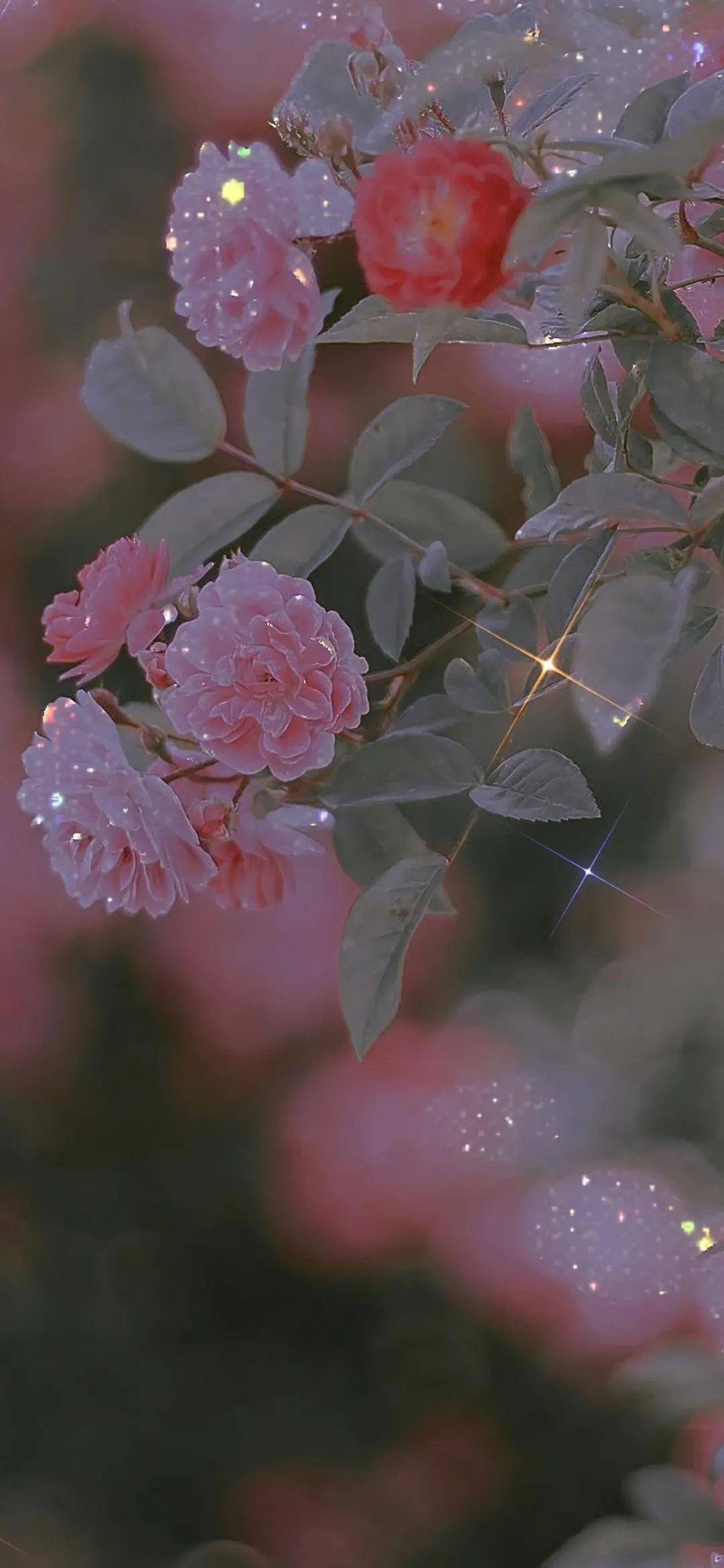 求一些比较适合作为卡贴的动漫图片什么动漫都可以