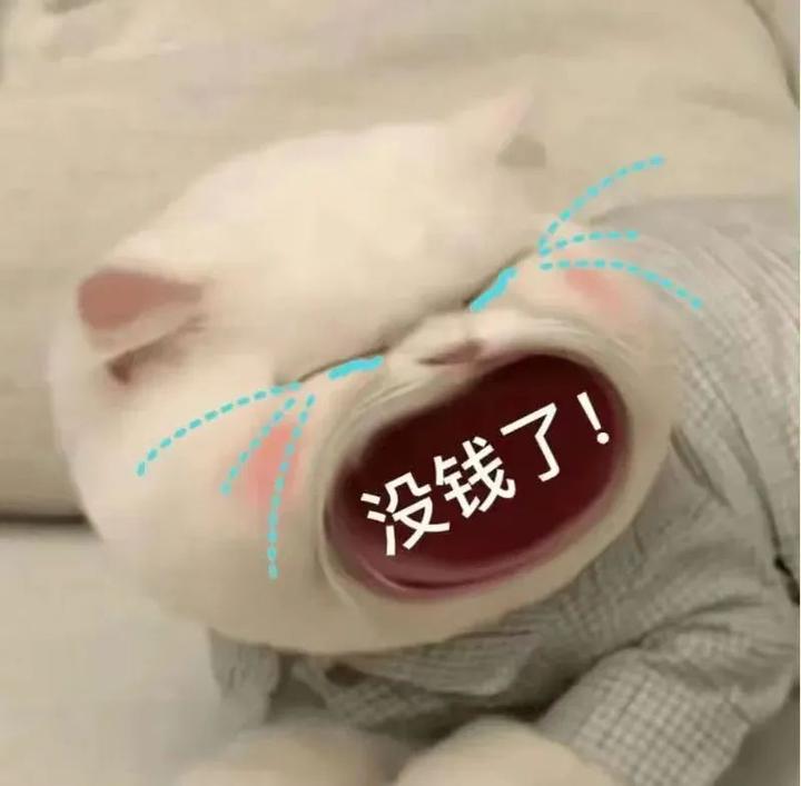 121张万能的要钱(生活费)表情包 - 知乎