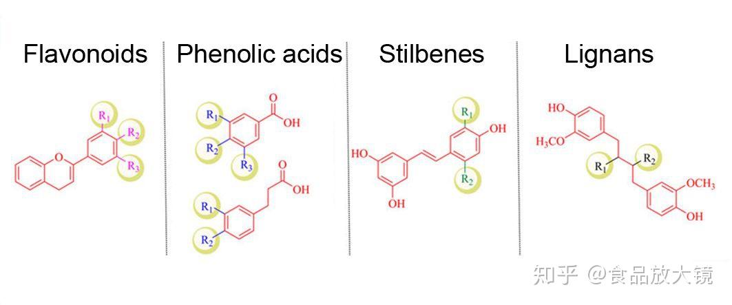 图2:多酚的分类和代表性结构图3:姜黄素通过ampk-sirt1-pgc1α通路