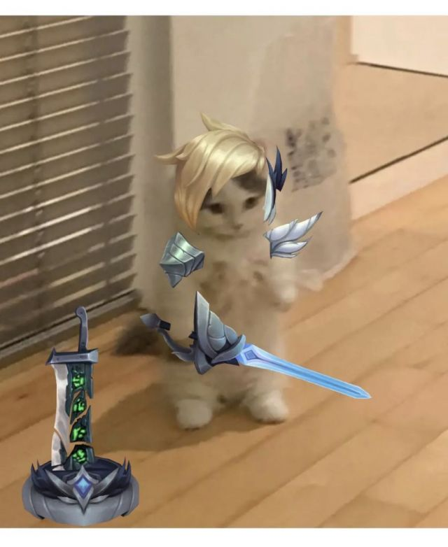 英雄联盟猫猫表情包第三期