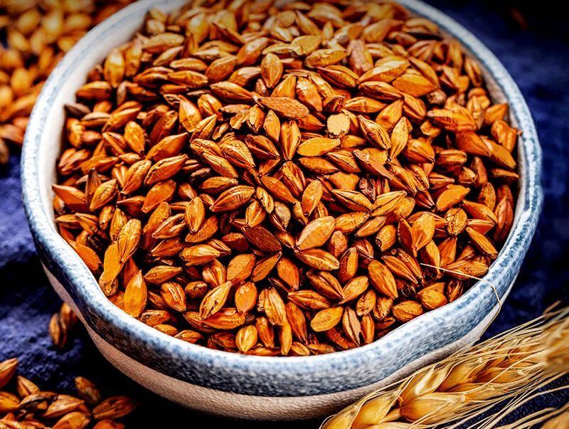 2024大麦茶top5牌子推荐:大麦茶牌子有哪些