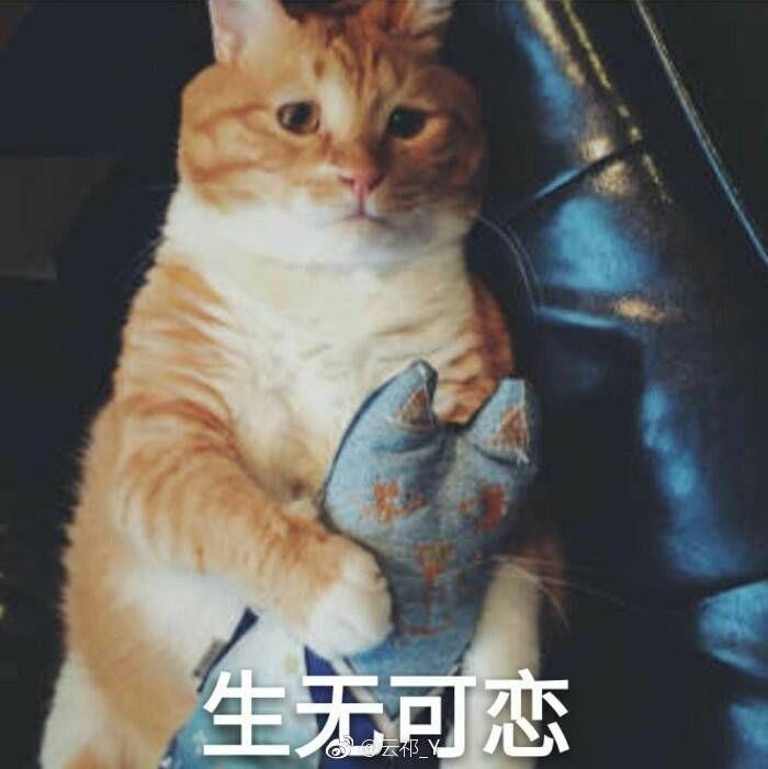 v2-f43fc204afc341b6356c49db4305ceb8_r.jpg