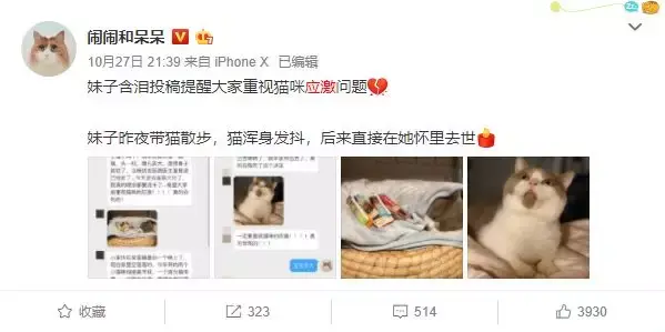 优享资讯 猫应激反应真的那么常见 那么恐怖吗