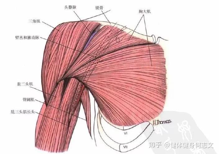 v2-f441345b92c109160eab6bf3359ead0c_r.jpg