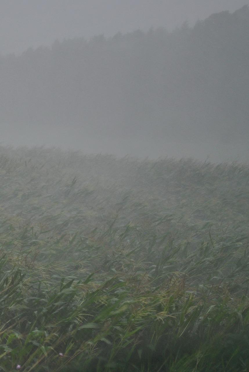 妈妈的雨衣伞下